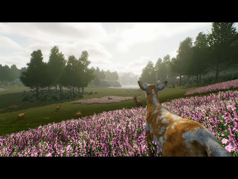 Gameplay de Deer Journey