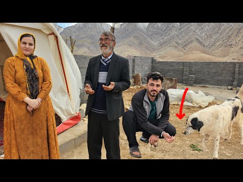 Maryam's Land Installment Crisis | Hassan's Love for a Stray Dog.