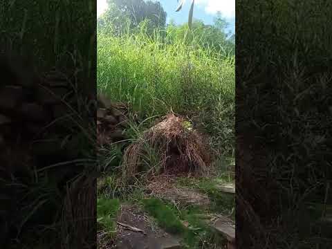 Se vende casalote 164 m², área urbana a 400 metros del centro de Pandi,Cundinamarca .