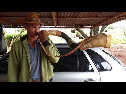 Os 5 toques do berrante