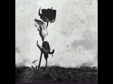 LXE, BALADJA— Бережно манило