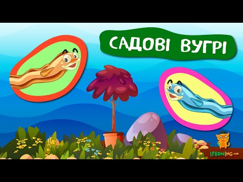 Дива природи. Явища навколо нас. Садові вугрі