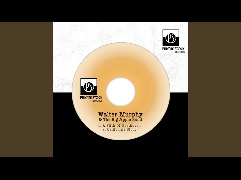 A Fifth of Beethoven