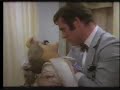 The Great Muppet Caper TV Spot 1981