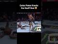 Carlos Prates Knocks Out Geoff Neal Spinning Elbow Ko Knockout UFC Chicago