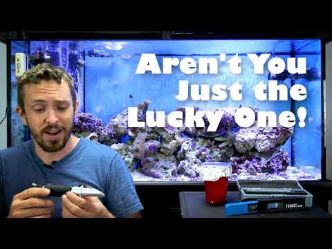 Refractometer Calibration Made Easy with RODI Water | Checking Salinity - ZecsReef - Episode Three