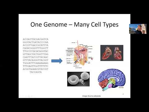 Lecture05 - Epigenomics, HMMs - MLCB24