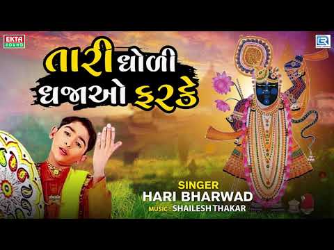 Hari Bharwad Superhit Bhajan | Tari Dhodi Dhajao Farke | તારી ધોળી ધજાઓ ફરકે | Gujarati Bhakti Song