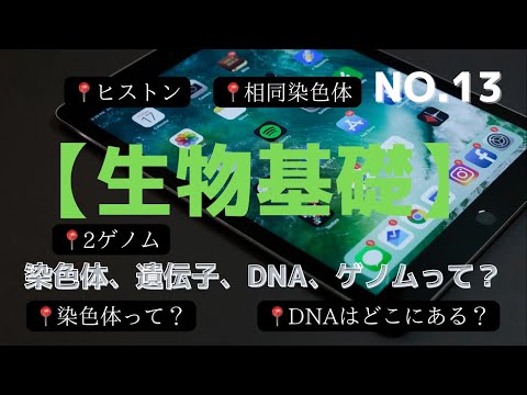 ヒト 13 番染色体について詳しく解説