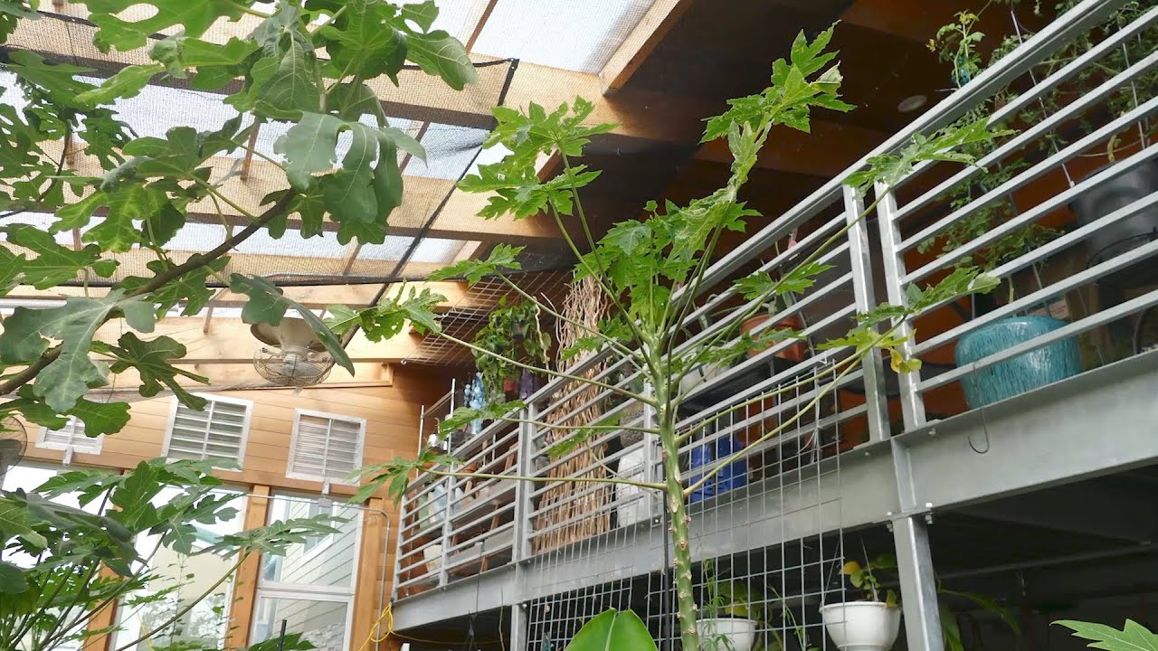 Tour Ceres: Two-Story Greenhouse Attached to Apothecary in Nederland, Colorado