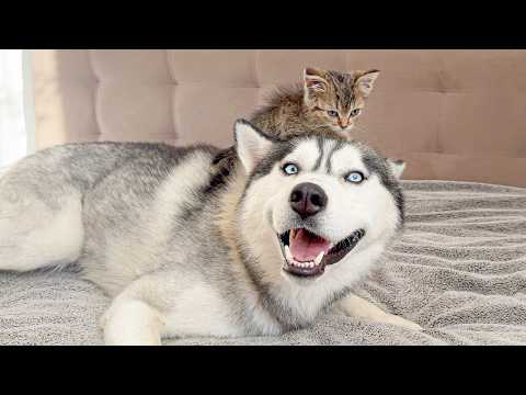 YouTube 썸네일