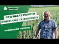 Фунгіцид Фунгімакс