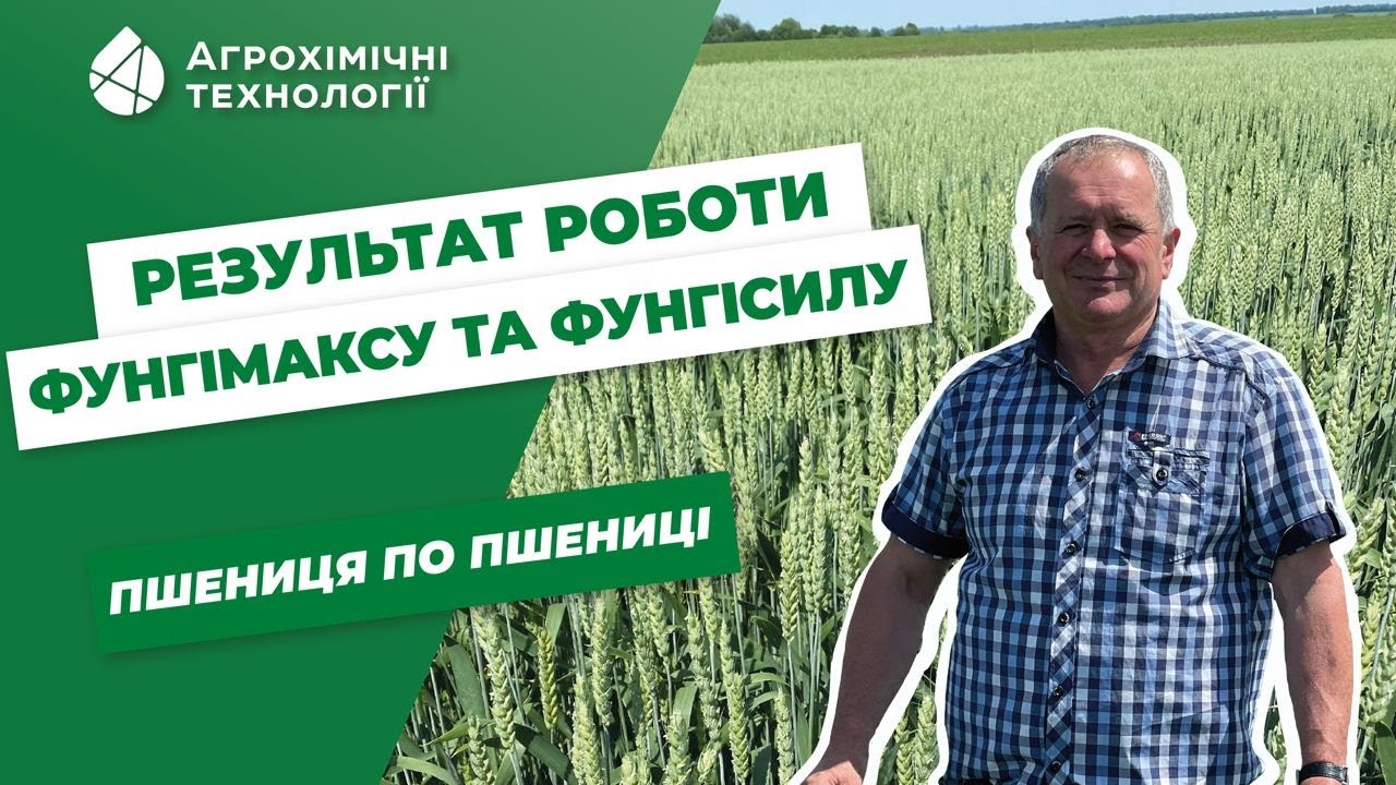 Фунгіцид Фунгімакс