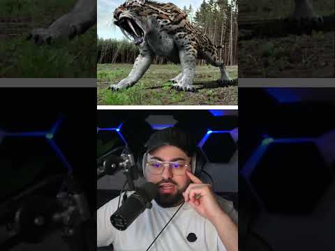 Tiere die zurück gebracht werden 😱!