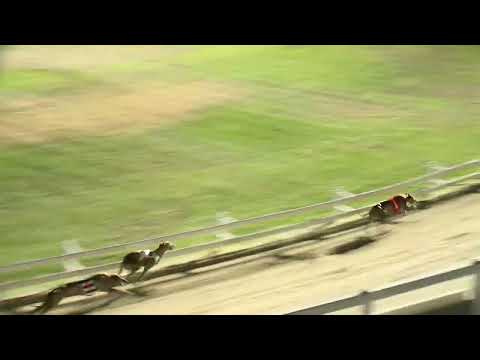 2022.06.24. 10. futam - Kincsem Park Magyar Derby Elődöntő III. futam