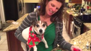 Decorating for Christmas - Baby, It's Cold Outside by Seth MacFarlane