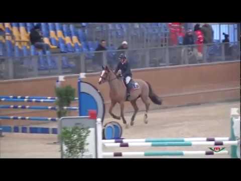 Euro Horse: Lincon Park EH by Lordanos x Cassini II - C135Q - A5* Manerbio - 04.02.2017