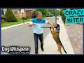 Aggressive Dog Turns On Owner S3EP11 Full Episode Dog Whisperer With Cesar Millan