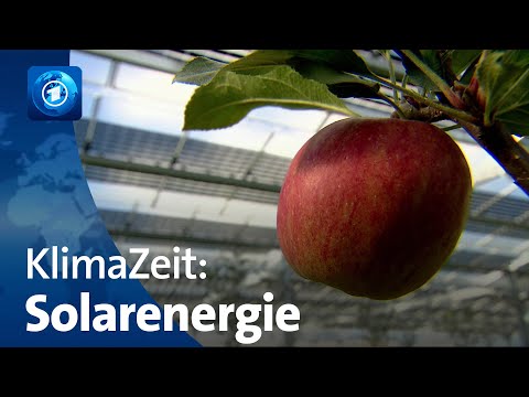 Solarboom in der Landwirtschaft | KlimaZeit