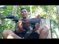 CIRI AYAM CEPAT