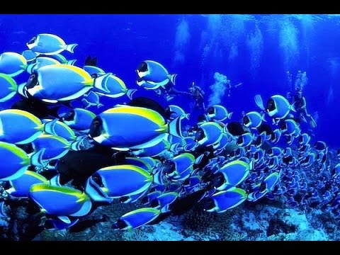 Филиппины - экзотические острова по самой доступной цене