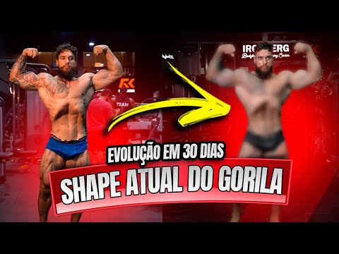 ELES AVALIARAM JÚLIO GORILA