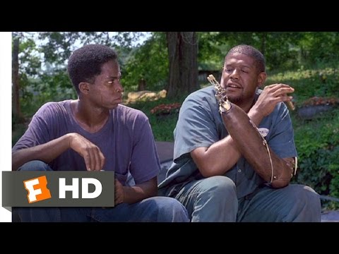 Smoke (3/12) Movie CLIP - A Hook for a Left Arm (1995) HD