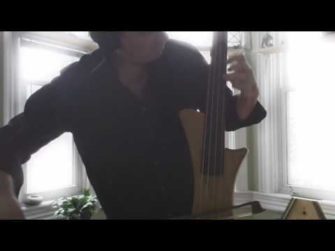 Chris Gartner - bowed electric upright bass, with effects and loops