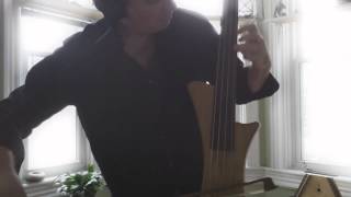 Chris Gartner - bowed electric upright bass, with effects and loops