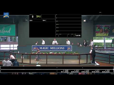 2021 Magic Millions Gold Coast March Yearling Sale Day 2