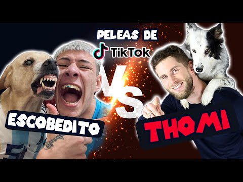 DOG EXPERT CRITICIZES TIKTOKER