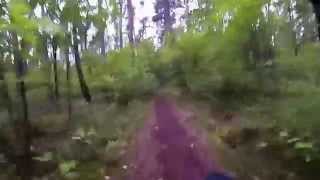 preview picture of video 'MTB Trail Viernheim, Germany @ Panzerwald GoPro Hero 3'