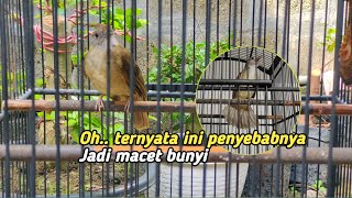 Download lagu Ini penyebabnya kapas tembak macet bunyi,dan ini cara penanganannya mp3