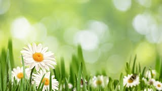 מימי הדעת | תוכנית בשידור חי! לימוד בספרי רבי נתן מברסלב זיע"א (הרב ברוך זרובבל) - התמונה מוצגת ישירות מתוך אתר האינטרנט יוטיוב. זכויות היוצרים בתמונה שייכות ליוצרה. קישור קרדיט למקור התוכן נמצא בתוך דף הסרטון