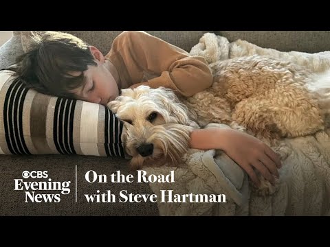Family's goodbye to beloved dog becomes a lesson in letting go