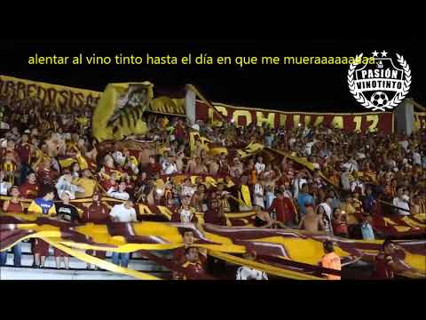 "Las raices de mi tierra" Barra: Revolución Vinotinto Sur &bull; Club: Tolima