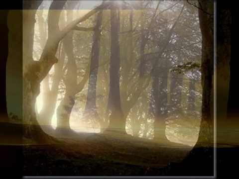 LABYRINTH - Elisa - trad (by Roberto83)