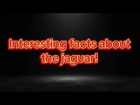 10 Jaguar facts