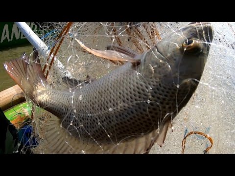 EP182: PART2-HILA-HILA PAGHULI NG ISDA GAMIT ANG LAMBAT