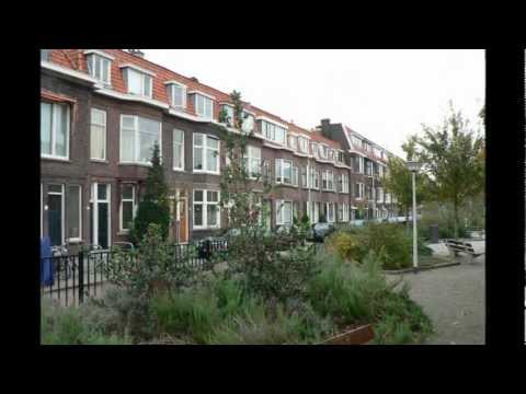 Omgeving Prinses Margrietlaan Hillegersberg Rotterdam