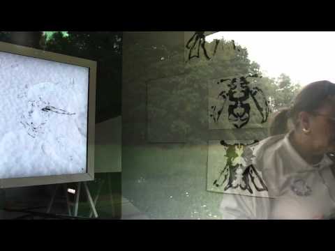 Reanimation - Joan Jonas