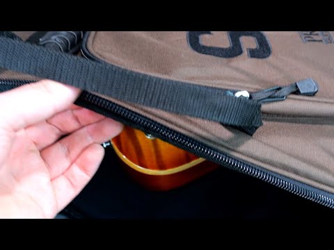 Is It Worth the $130 Premium? | PRS SE McCarty 594 Single Cut Flame Maple Top Review + Demo