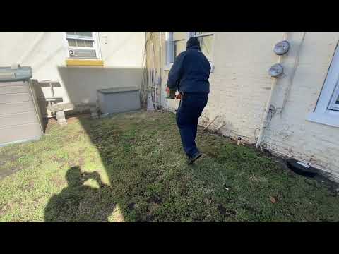 Taking Care of the Ants Around the Home in South Amboy, NJ