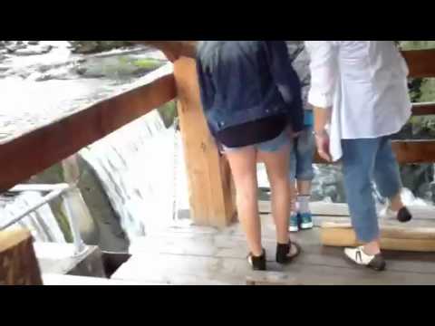 Sagelva sagbruk demo