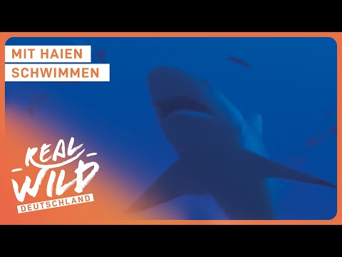 Unterwasser Doku: Faszination Fakarava - Im Reich der Tiefe