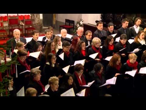Schola Cantorum Rijeka - Christmas Lullaby (John Rutter)