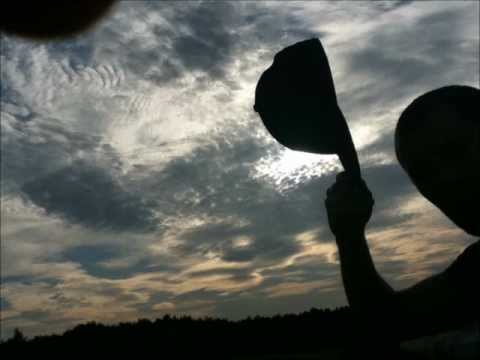 Drzewo, Lysol - Z tej strony