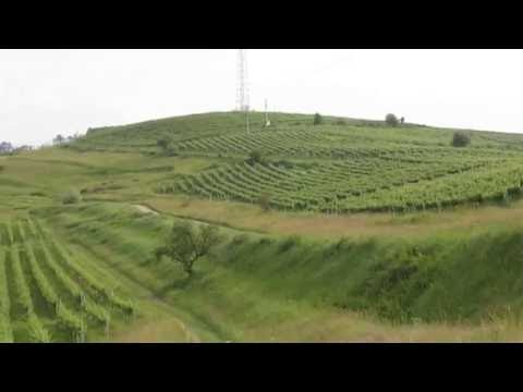 Crama Tăuni (D. J. 142 K)