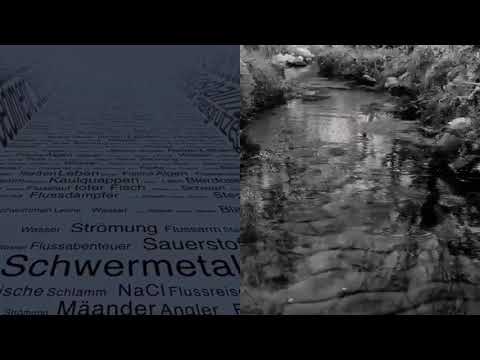 Splitscreen: (Ausschnitt) Hang Massive - The Secret Kissing of the Sun and Moon