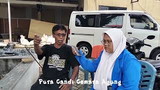 Download lagu Tugas Dokumentasi Kearifan Loka ||Kelas :XI-10|| mp3